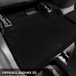 Левый пассажир