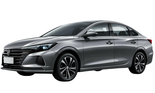 3D коврики EVA с бортами в салон на Changan Eado Plus (2020-н.в.)