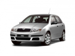 2D коврики EVA в салон  на Skoda Fabia I (1999-2007)